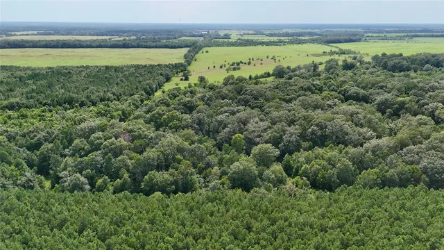 a view of a green field with an ocean view