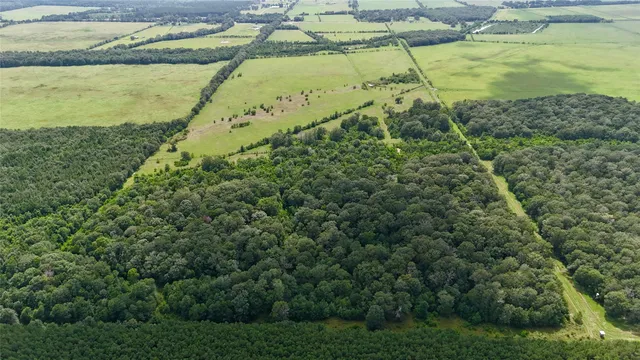 a view of a garden with a lake