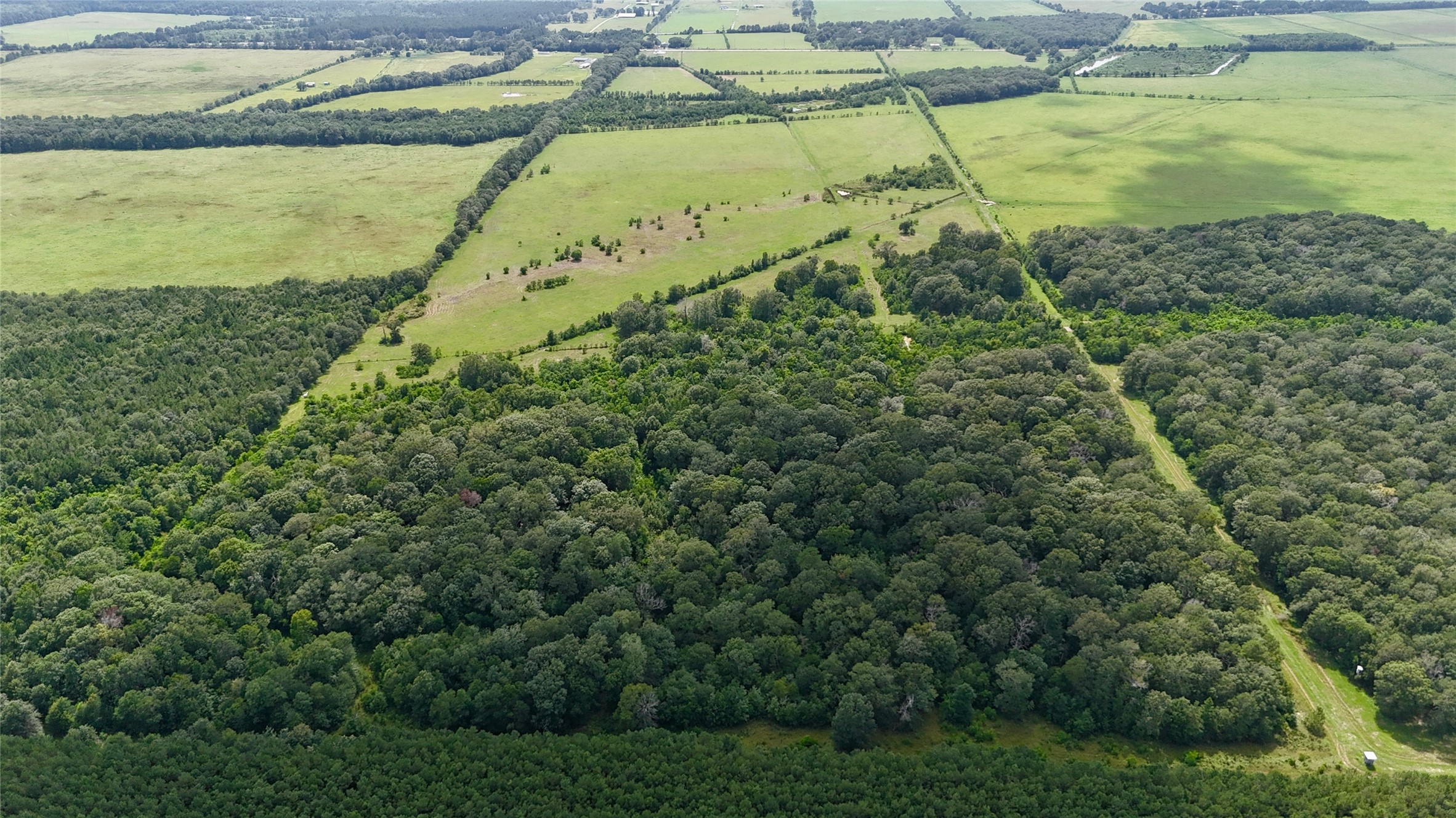 31100 Old Sour Lake Road Sour Lake, TX 77659 - Photo 6 of 32 a view of a garden with a lake