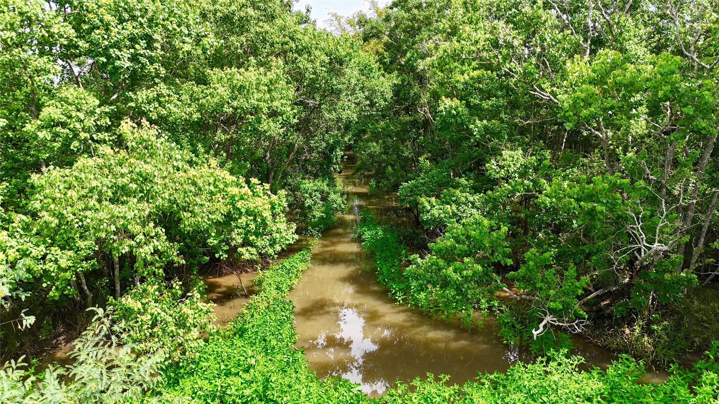 31100 Old Sour Lake Road Sour Lake, TX 77659 - Photo 9 of 32 a view of a garden