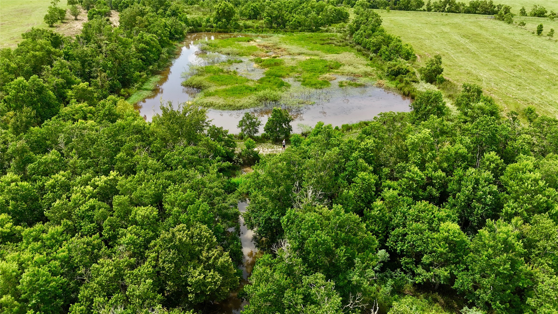 31100 Old Sour Lake Road Sour Lake, TX 77659 - Photo 10 of 32 a view of a garden with a lake