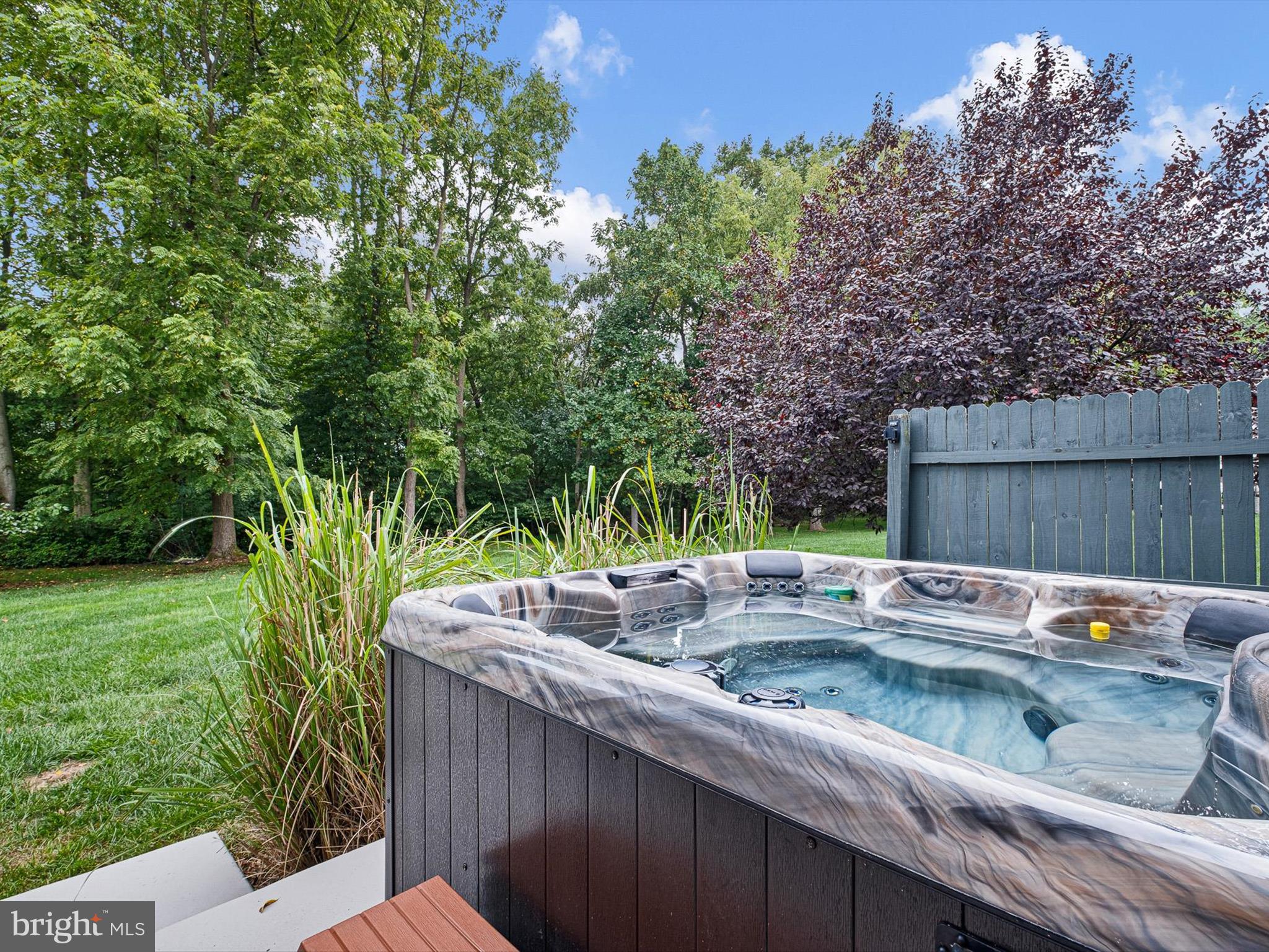 434 Spring Hollow Drive Middletown, DE 19709 - Photo 39 of 59 Private hot tub off of basement patio