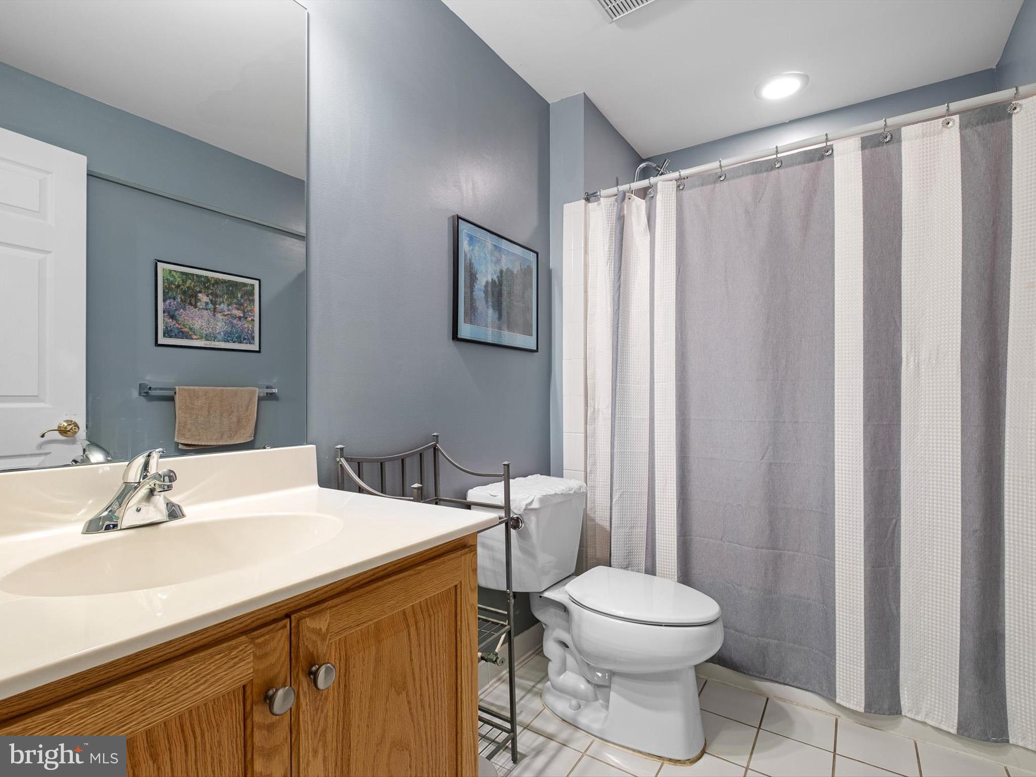 434 Spring Hollow Drive Middletown, DE 19709 - Photo 47 of 59 a bathroom with a sink a toilet a mirror and shower curtain