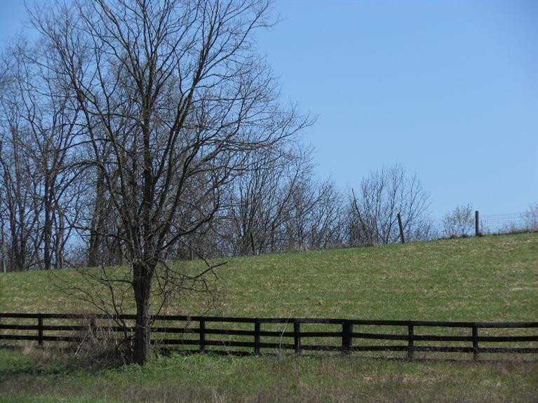 1414 Sharp Road Stamping Ground, KY 40379 - Photo 4 of 6 Photo 4