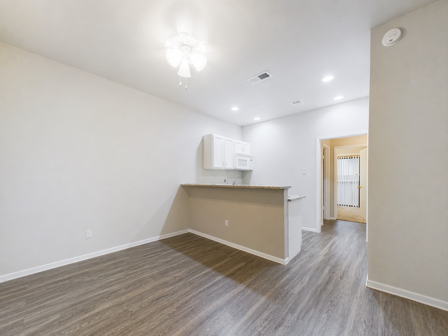 a view of empty room with wooden floor