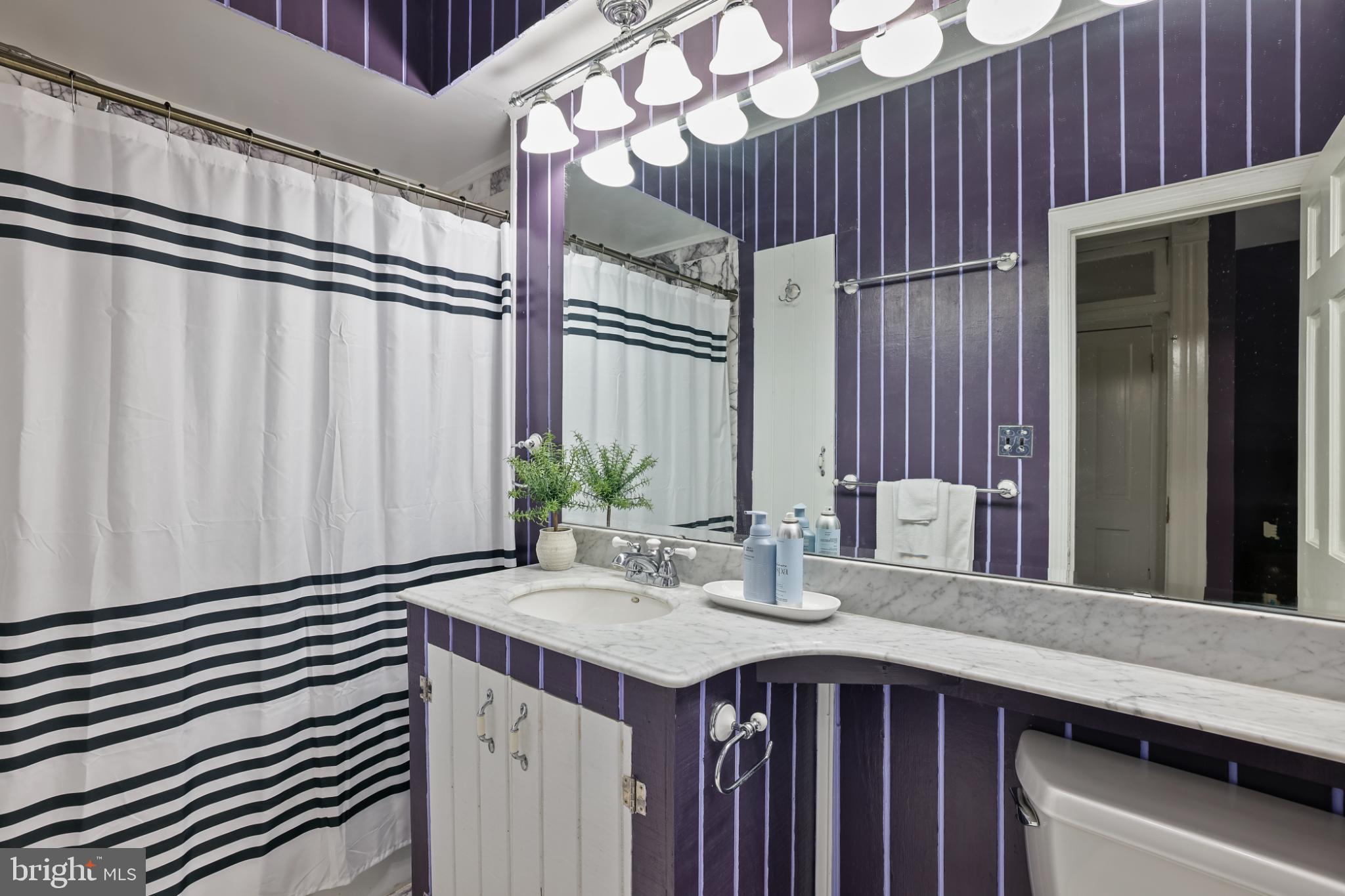 430 New Jersey Avenue Southeast Washington, DC 20003 - Photo 30 of 34 Chic bathroom with bold striped accents.