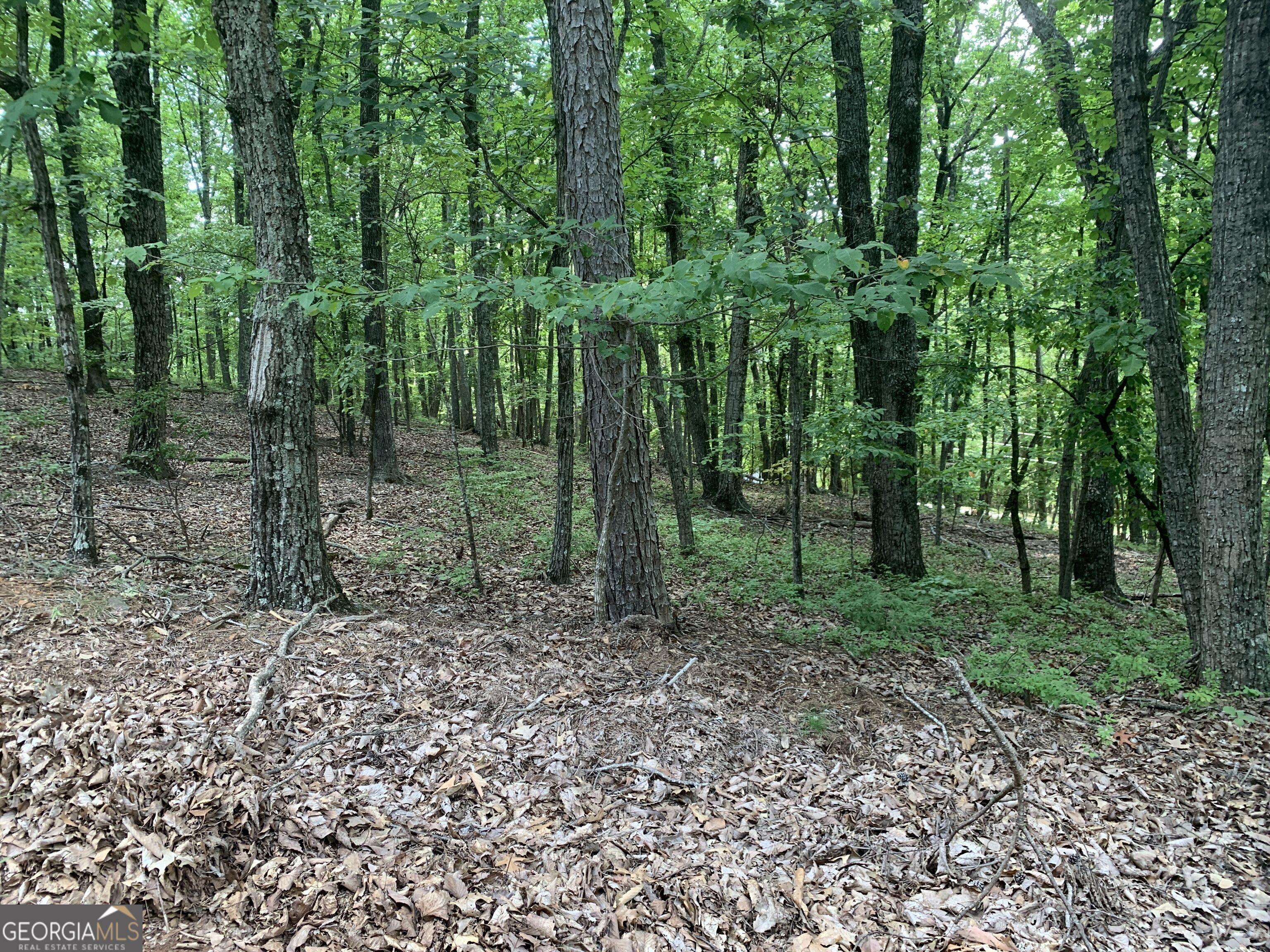 0 Grant Smith Summit Ridge Etc Toccoa, GA 30577 - Photo 12 of 28 Gallery Image 12