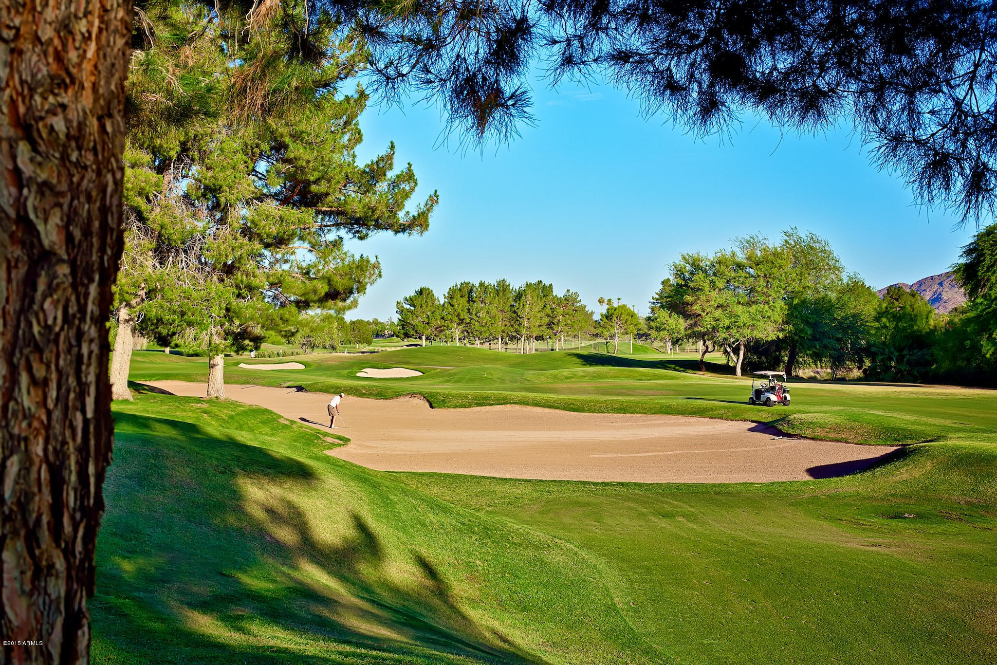 4303 East Cactus Road, Unit 134 Phoenix, AZ 85032 - Photo 30 of 48 Situated Along Stone Creek Golf Course