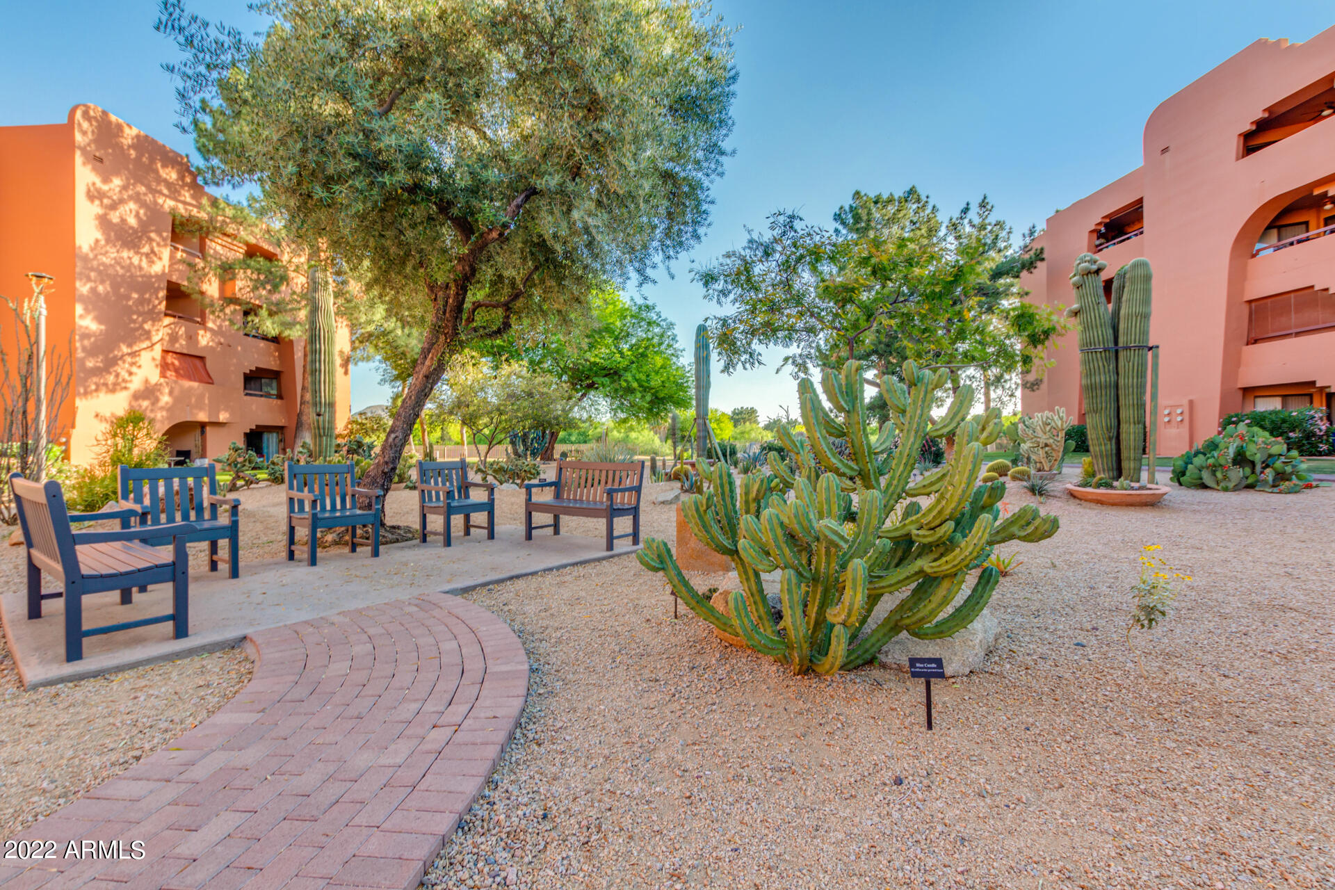 4303 East Cactus Road, Unit 134 Phoenix, AZ 85032 - Photo 32 of 48 Great Place to Gather With Friends