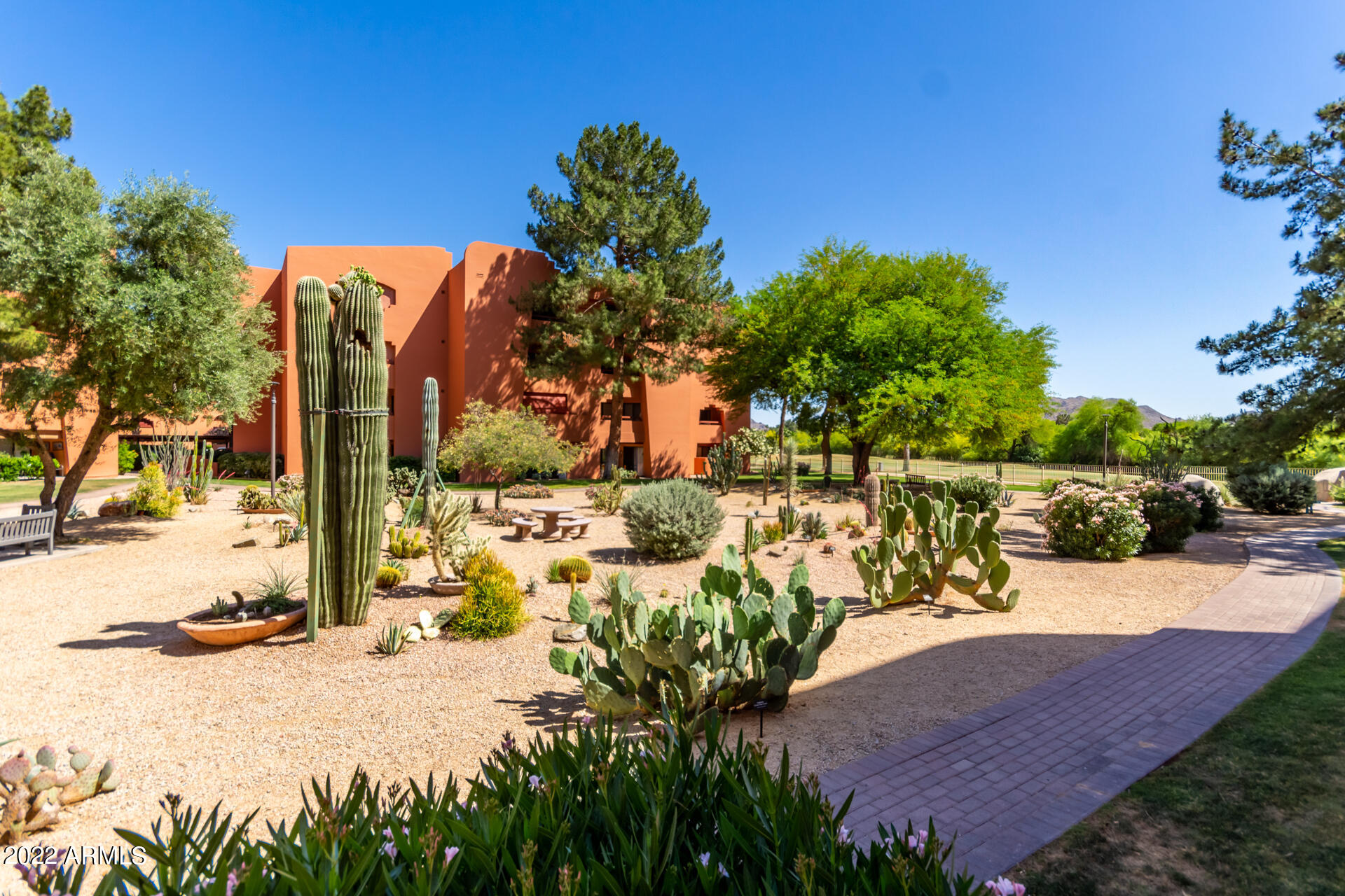 4303 East Cactus Road, Unit 134 Phoenix, AZ 85032 - Photo 35 of 48 Cactus Garden