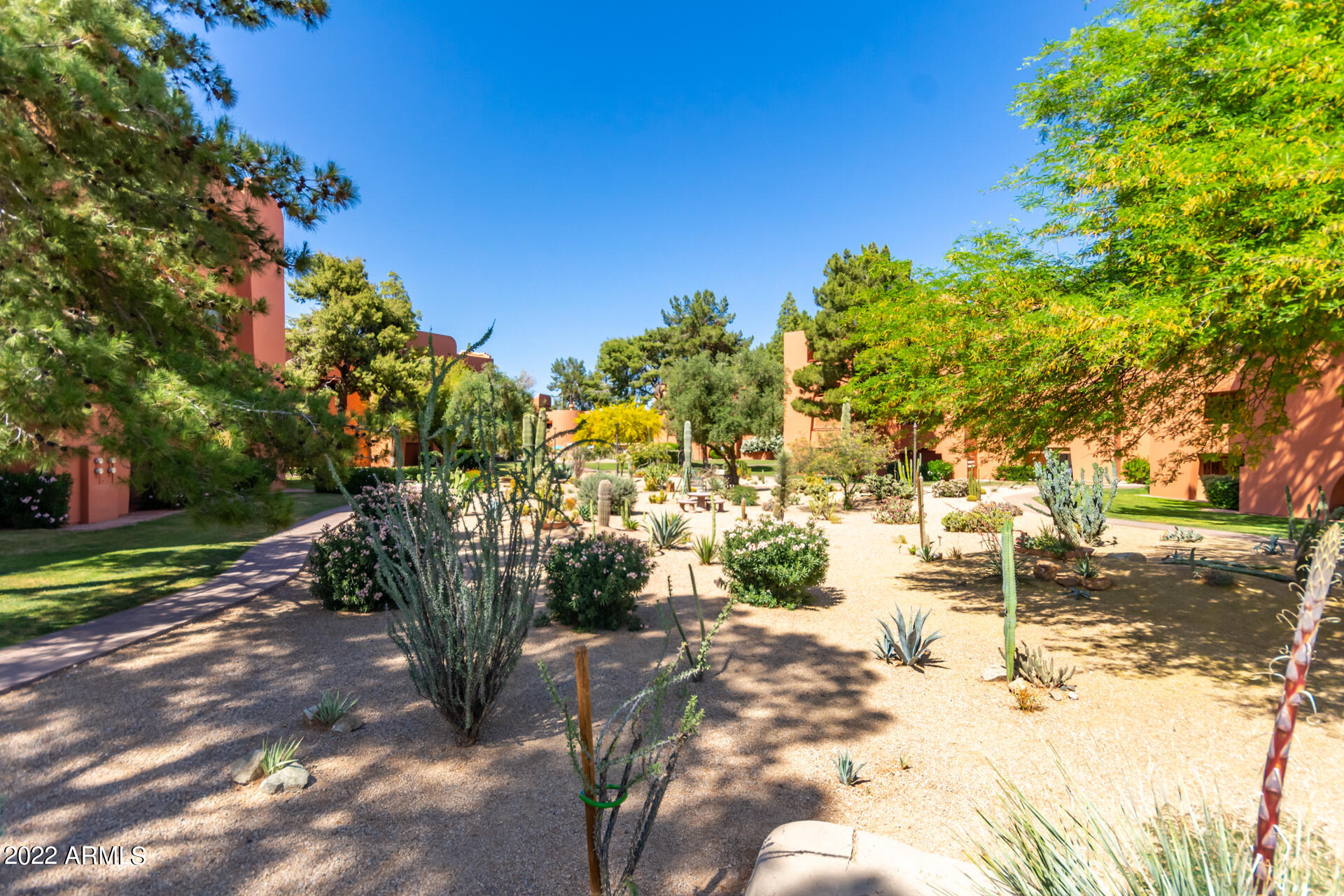 4303 East Cactus Road, Unit 134 Phoenix, AZ 85032 - Photo 36 of 48 Cactus Garden