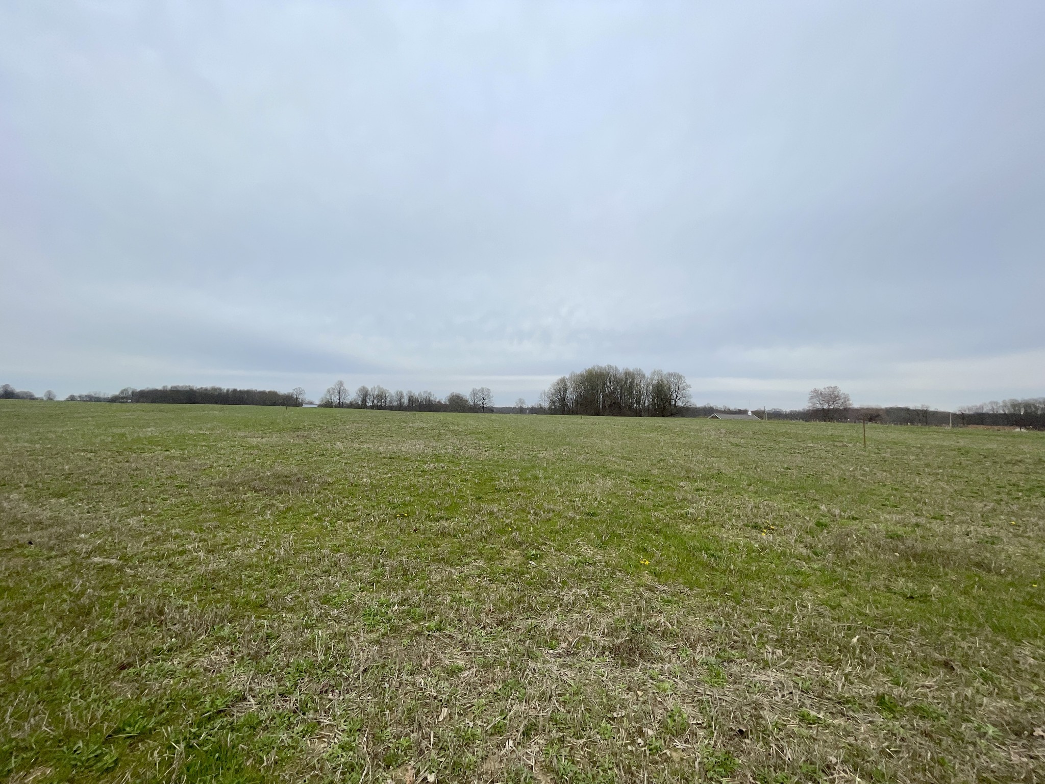 530 Hollis Chapel Road Cottontown, TN 37048 - Photo 8 of 12 a view of an ocean