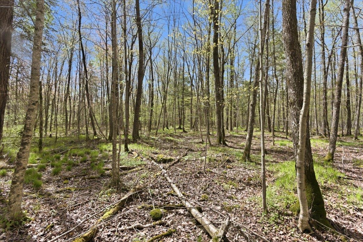 W585 Strucker Road Ogema, WI 54459 - Photo 19 of 55