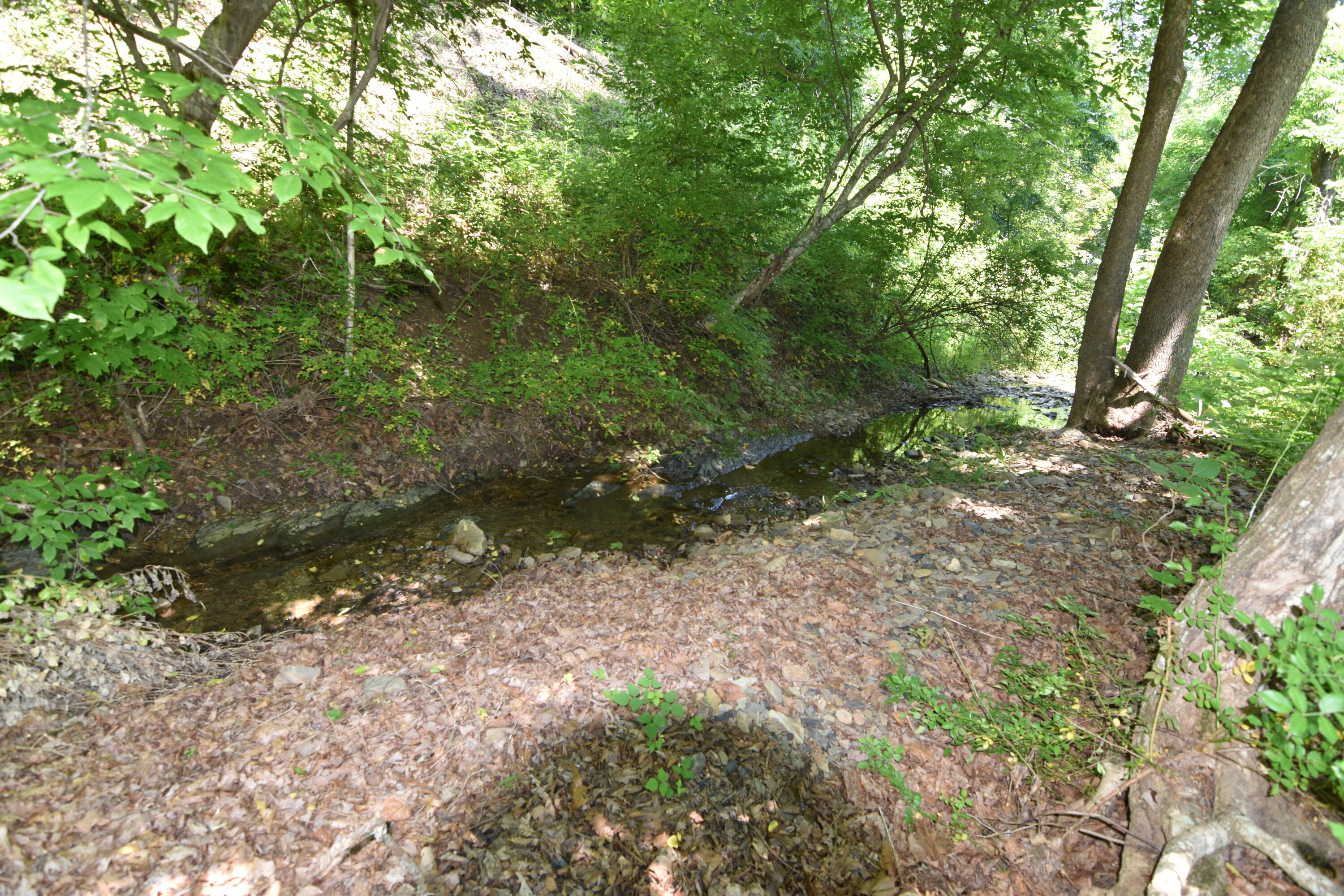 326 Rogers Road Covington, VA 24426 - Photo 30 of 30 Stream