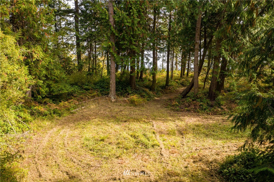 2 Osprey Road Lopez Island, WA 98261 - Photo 13 of 31
