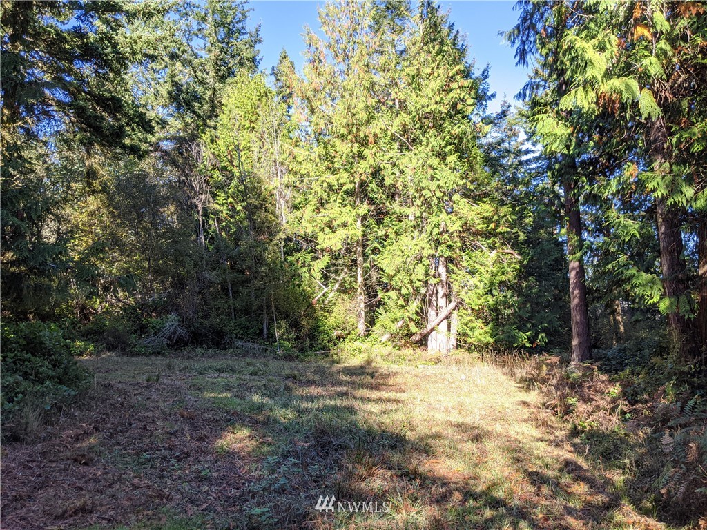 2 Osprey Road Lopez Island, WA 98261 - Photo 14 of 31