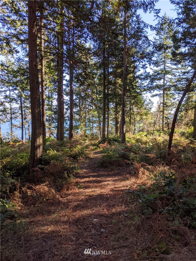 2 Osprey Road Lopez Island, WA 98261 - Photo 15 of 31