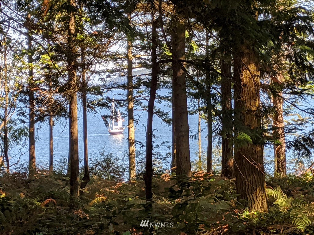 2 Osprey Road Lopez Island, WA 98261 - Photo 17 of 31