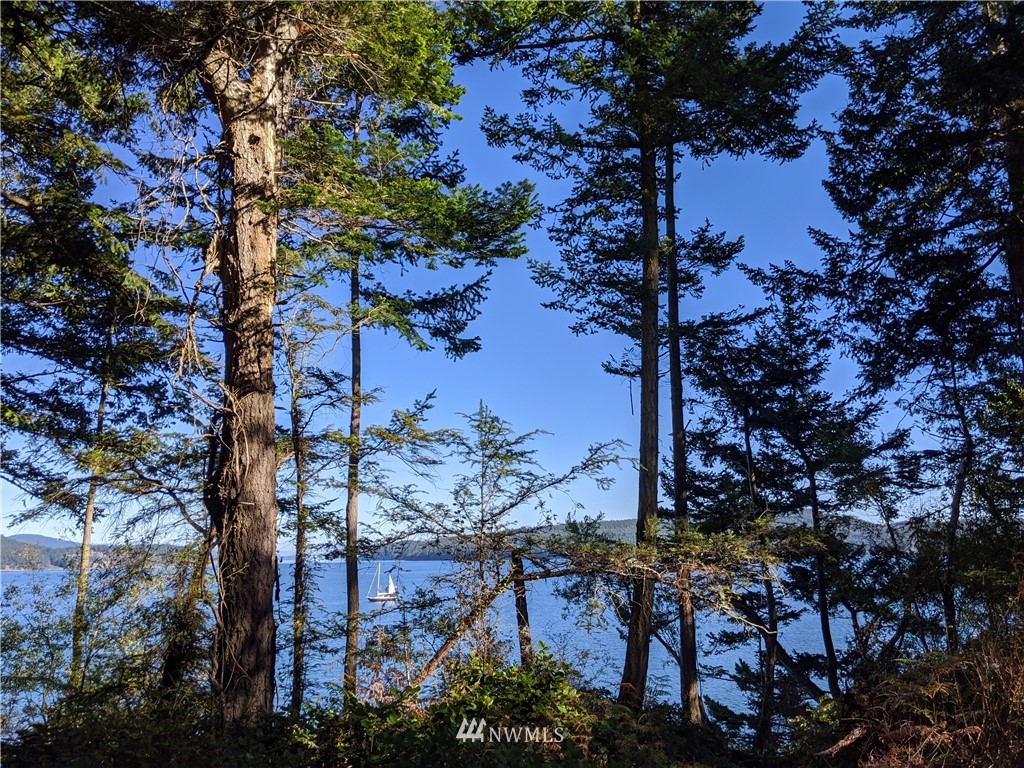 2 Osprey Road Lopez Island, WA 98261 - Photo 18 of 31