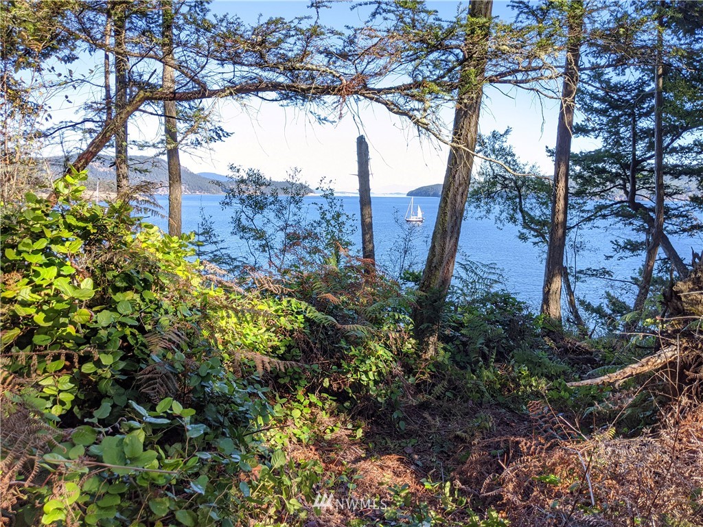 2 Osprey Road Lopez Island, WA 98261 - Photo 19 of 31