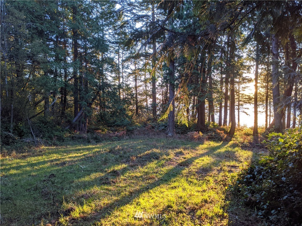 2 Osprey Road Lopez Island, WA 98261 - Photo 20 of 31