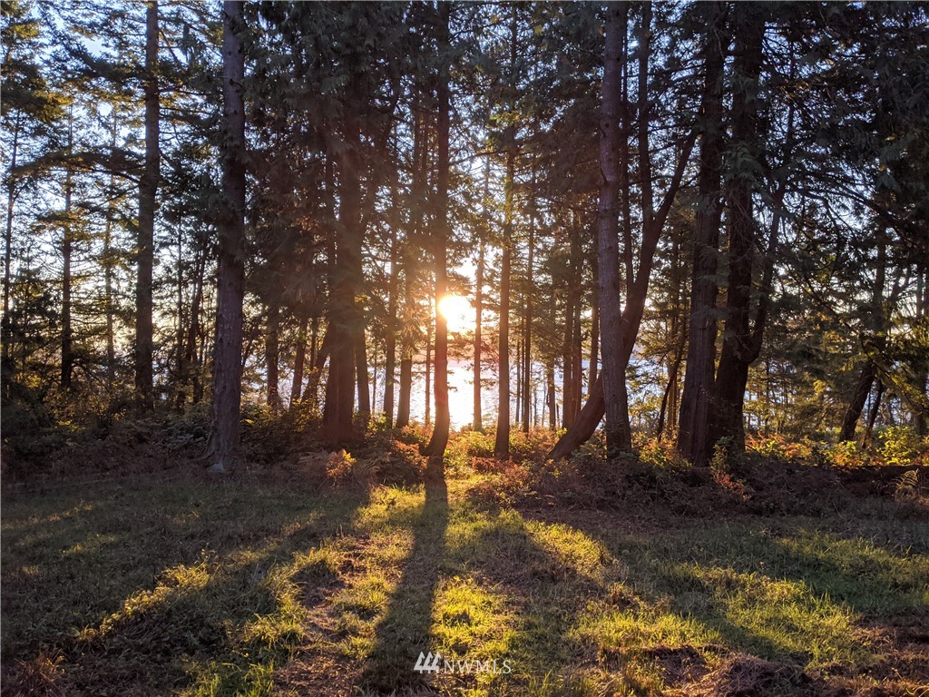 2 Osprey Road Lopez Island, WA 98261 - Photo 21 of 31