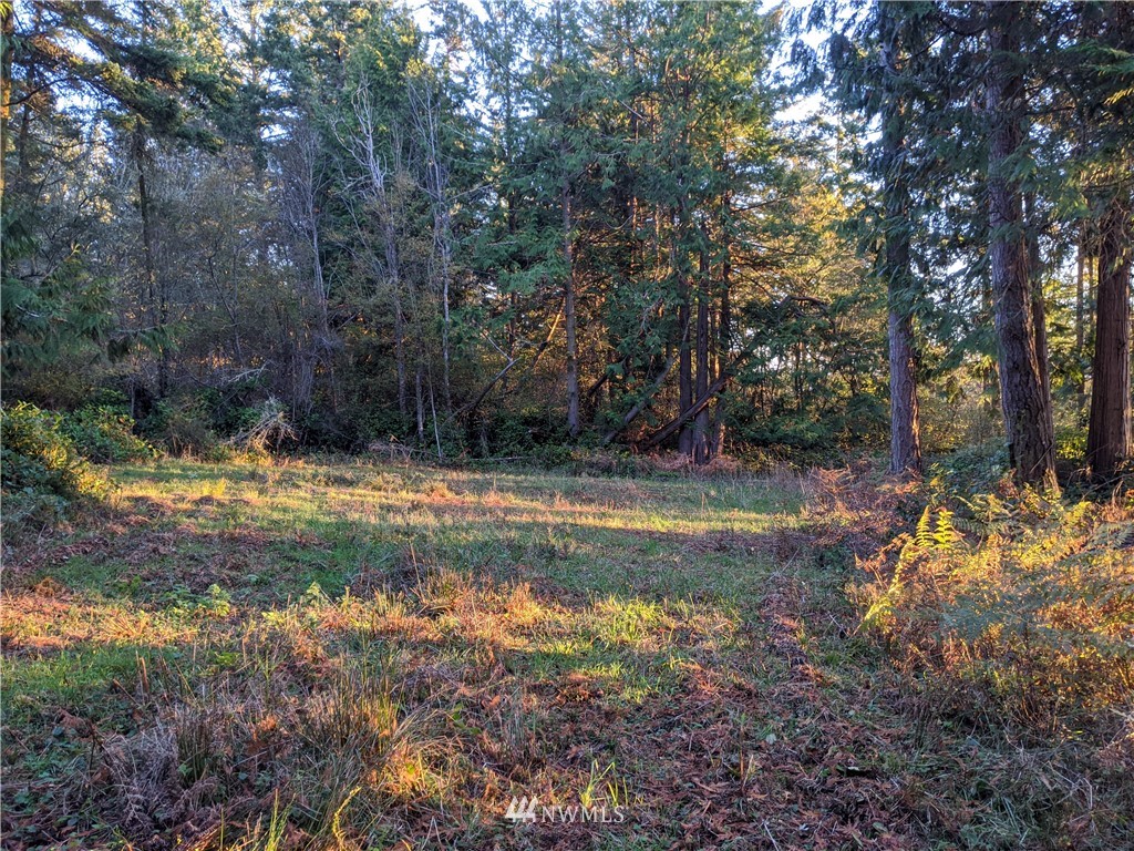 2 Osprey Road Lopez Island, WA 98261 - Photo 23 of 31