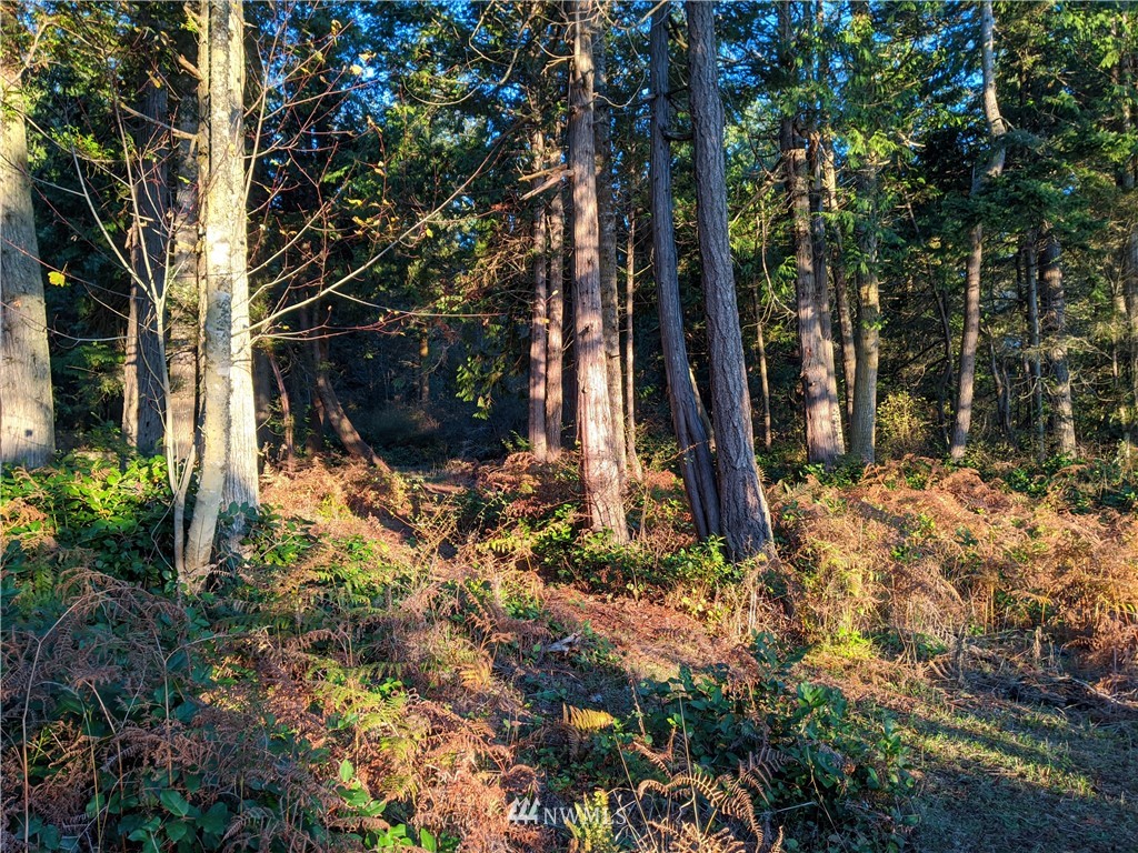 2 Osprey Road Lopez Island, WA 98261 - Photo 24 of 31