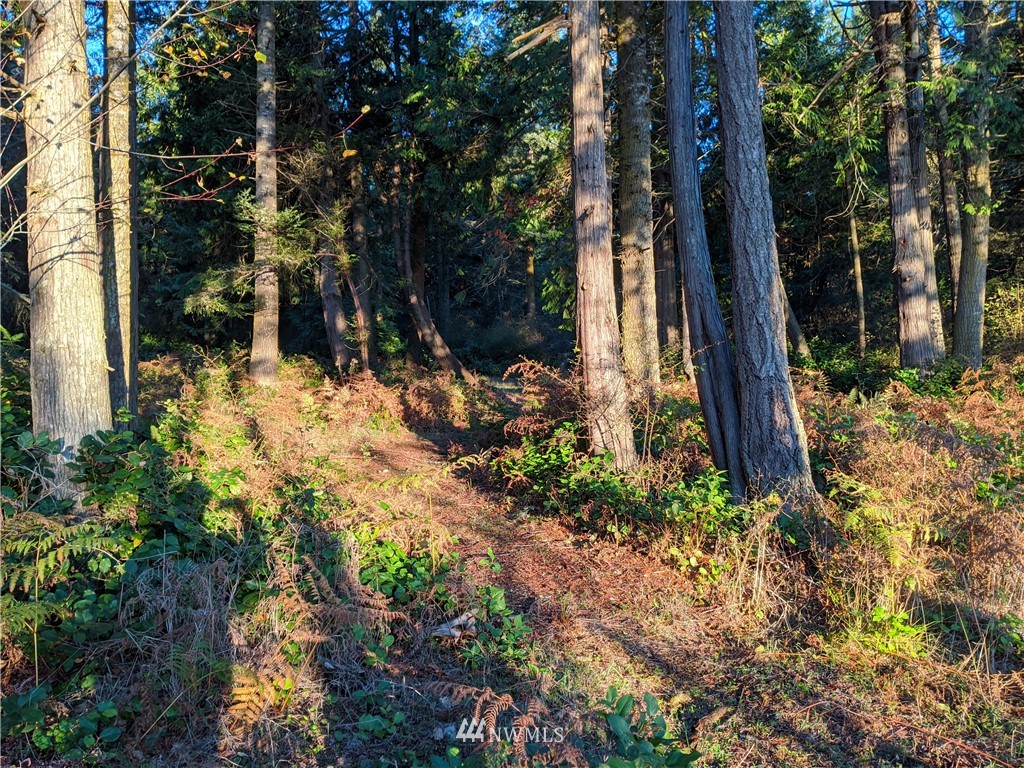 2 Osprey Road Lopez Island, WA 98261 - Photo 25 of 31