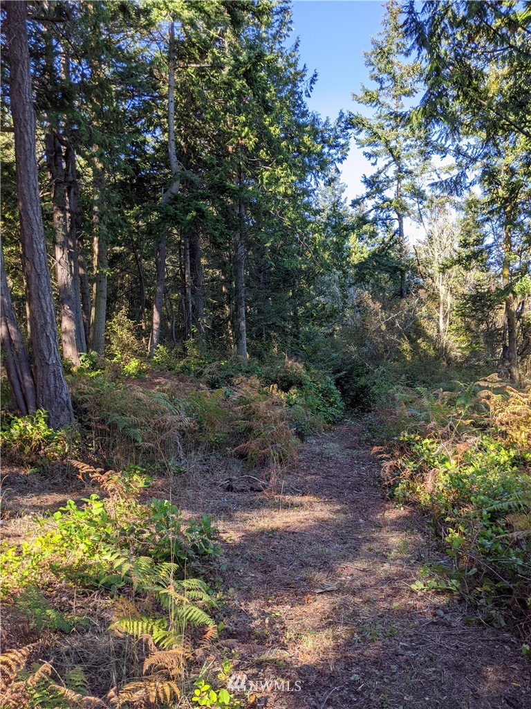 2 Osprey Road Lopez Island, WA 98261 - Photo 26 of 31