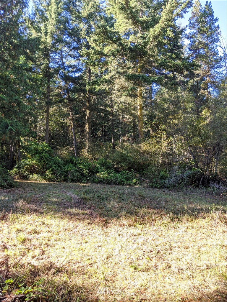 2 Osprey Road Lopez Island, WA 98261 - Photo 27 of 31