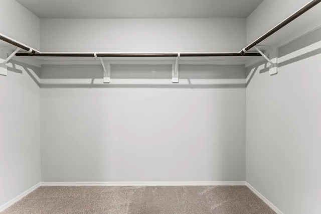 $1,750 | 603 Levine Court, Conroe, TX 77316