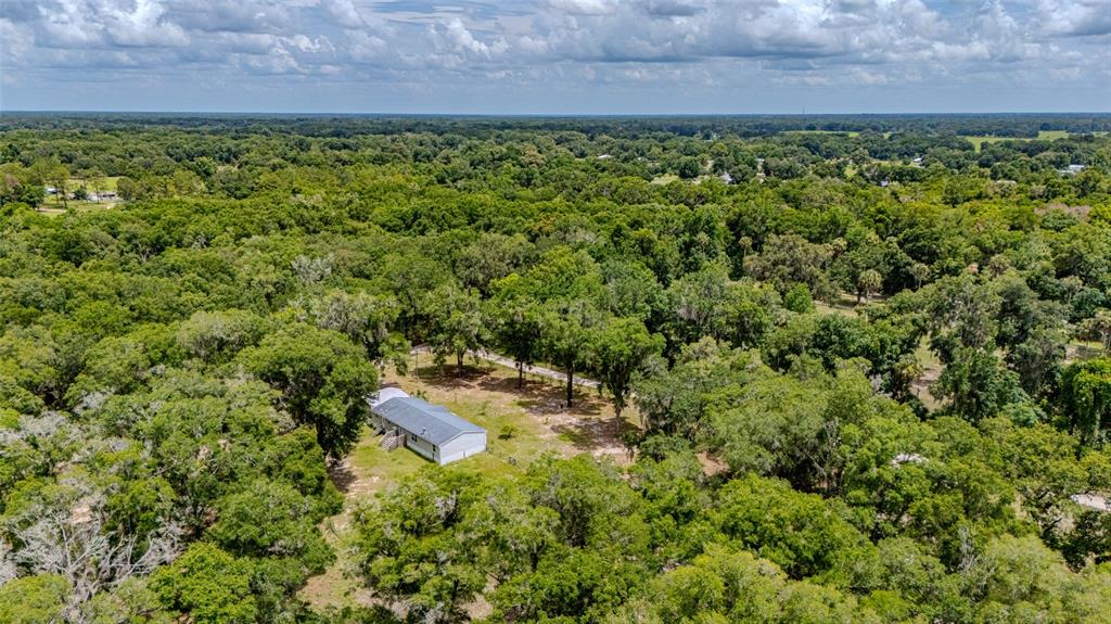 19050 Northeast 3rd Court Citra, FL 32113 - Photo 23 of 23