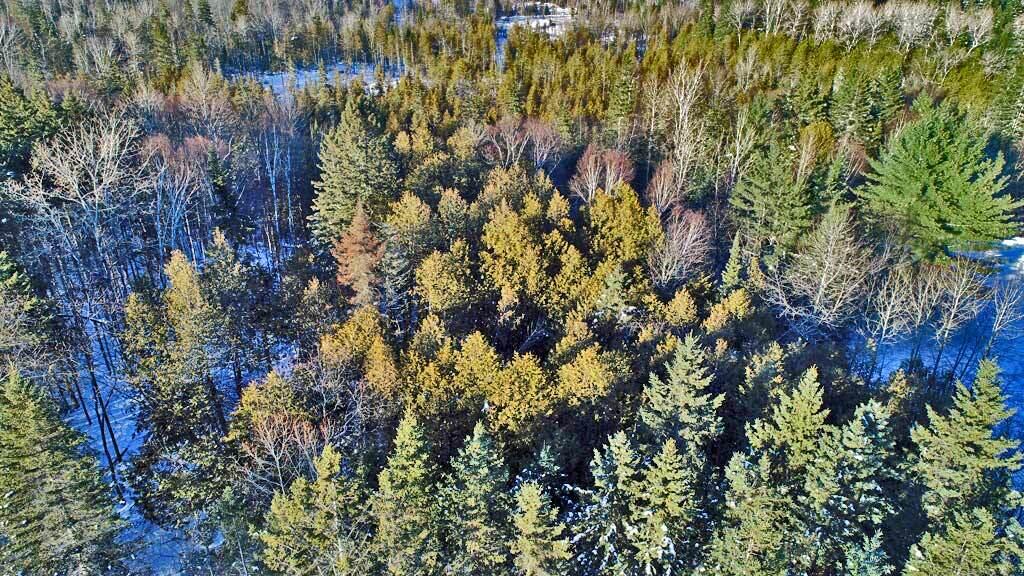 Lot 6 Ludlow Road Houlton, ME 04730 - Photo 20 of 28 land-maine-ludlow-me-11