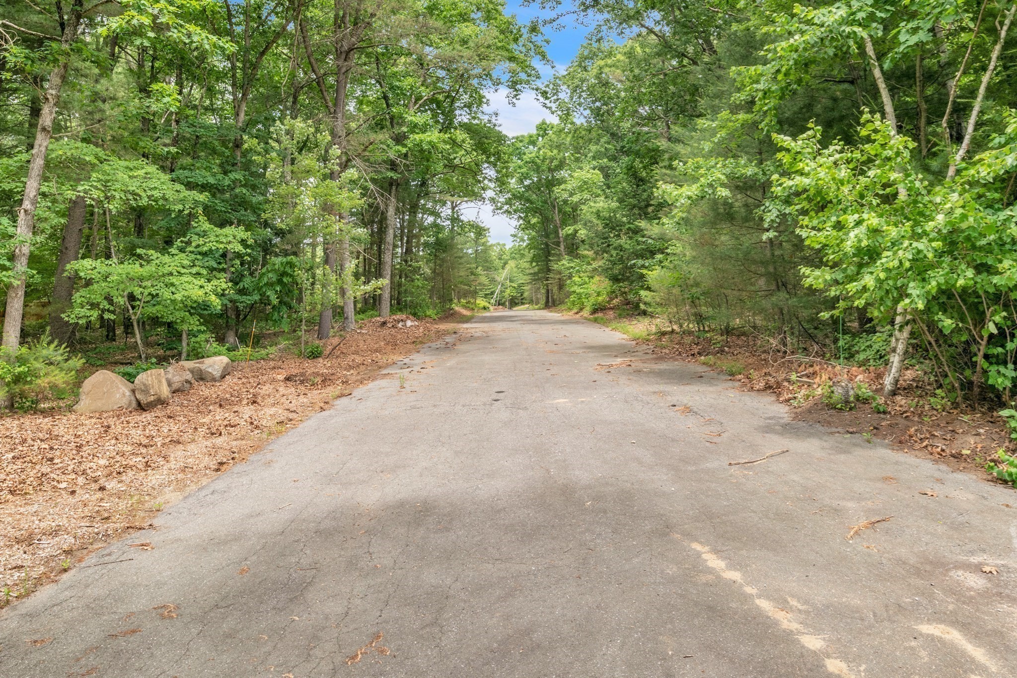 219 Wilbraham Road Monson, MA 01057 - Photo 8 of 19 Gallery Image 8