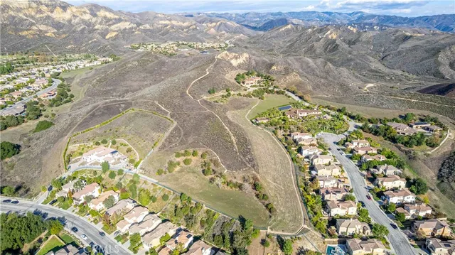 view of a lot of flowers in the background