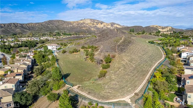 view of a lot of flowers and trees