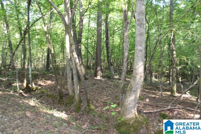 1 Benefield Gap Road Attalla, AL 35954 - Photo 19 of 50