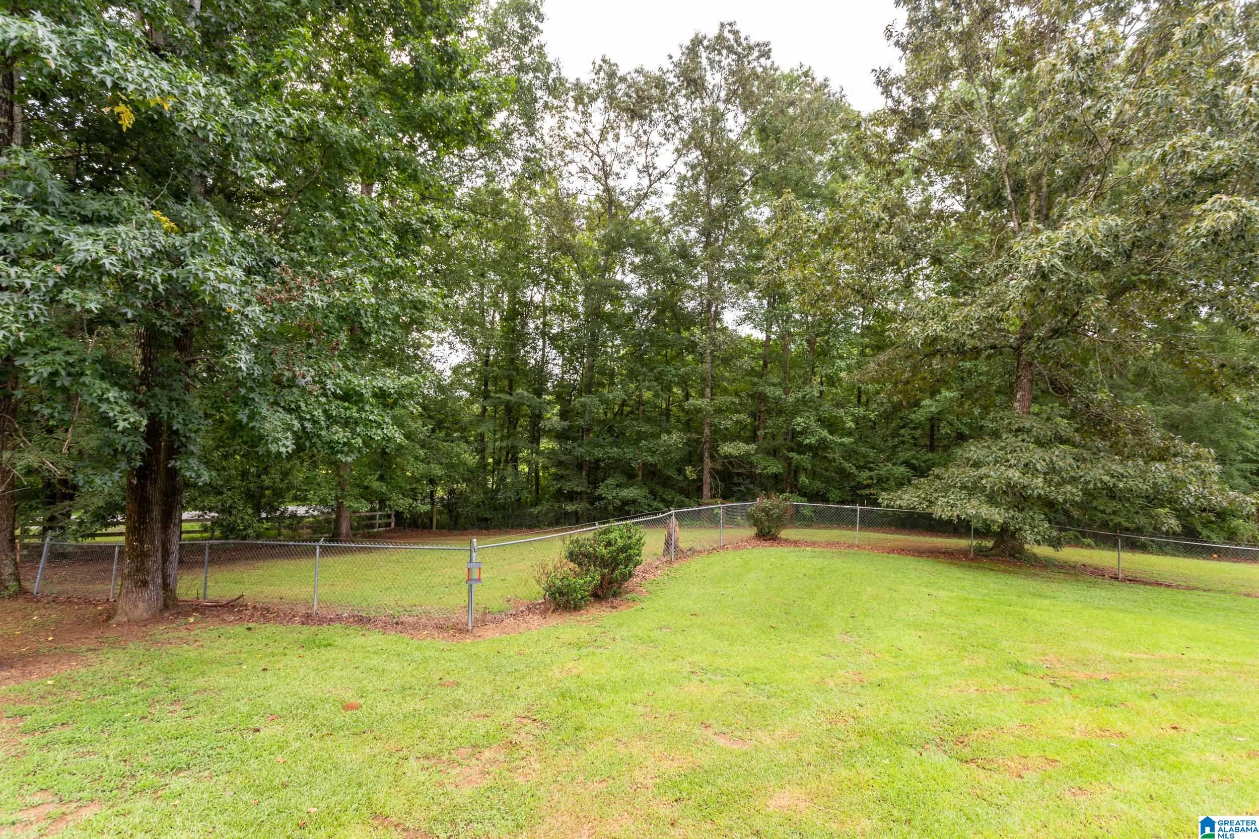 125 Homebrew Knob Ragland, AL 35131 - Photo 25 of 42