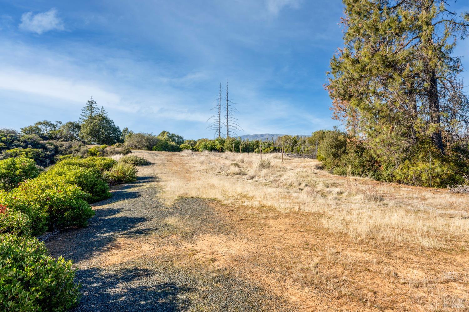 3681 Benmore Valley Road Hopland, CA 95449 - Photo 13 of 20 Gallery Image 13
