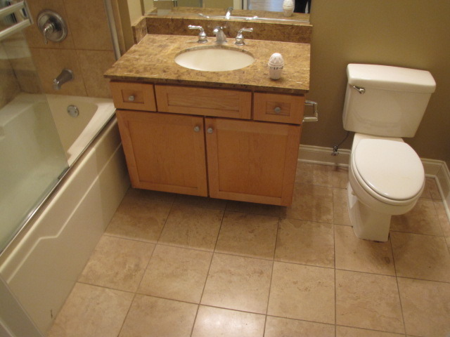1001 West Madison Street, Unit 501 Chicago, IL 60607 - Photo 12 of 15 a bathroom with a sink toilet and a mirror