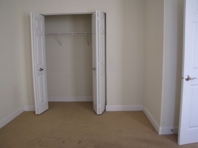 1001 West Madison Street, Unit 501 Chicago, IL 60607 - Photo 14 of 15 a view of room with closet
