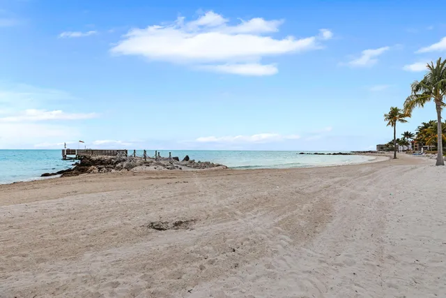 a view of an ocean and beach