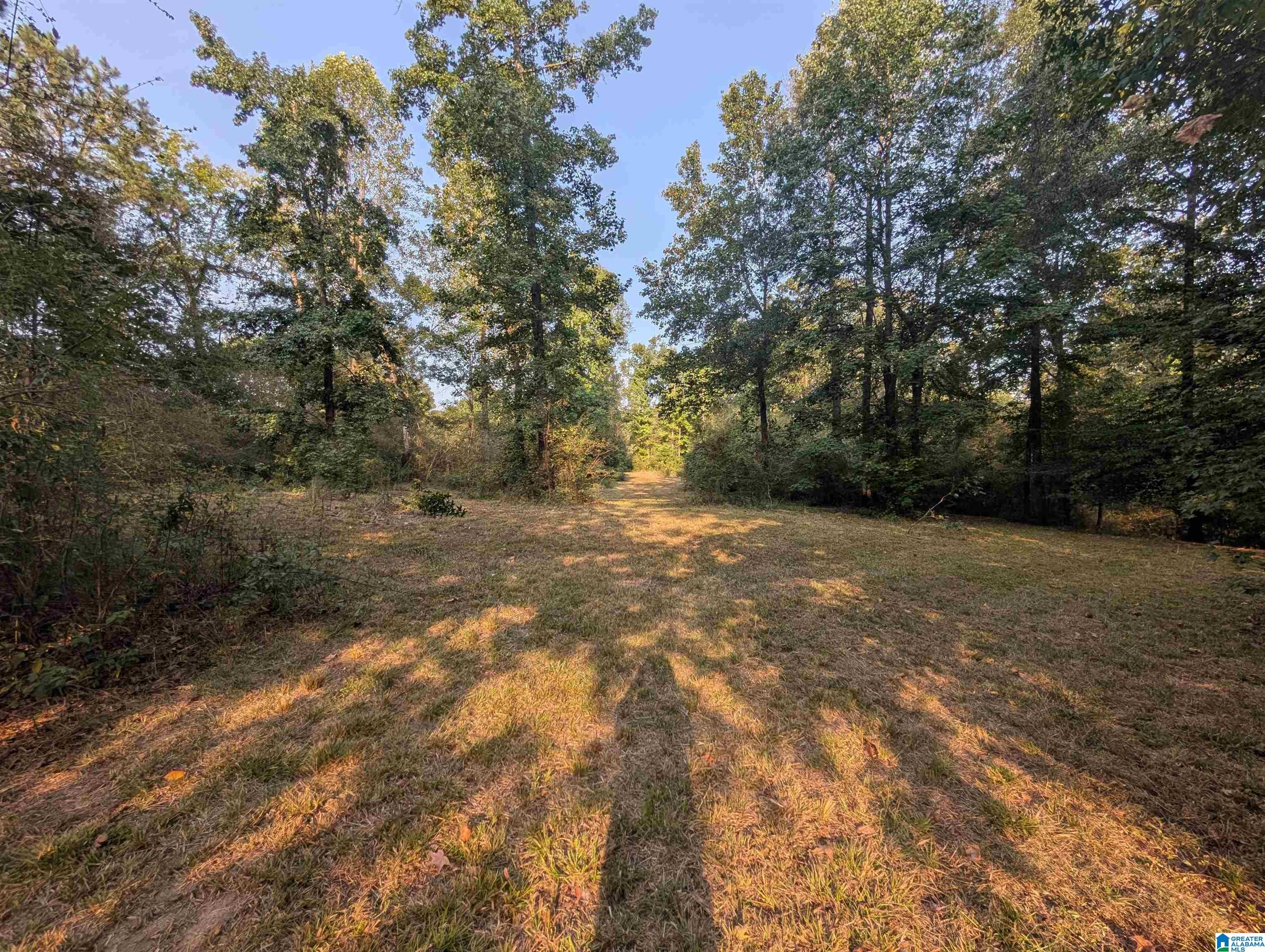 591 McClain Road, Unit 2 Bessemer, AL 35023 - Photo 1 of 15 Gallery Image 1