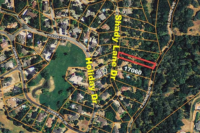 a view of a yard with plants and large trees