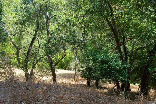 a picture of a bathroom with a window and a white rack