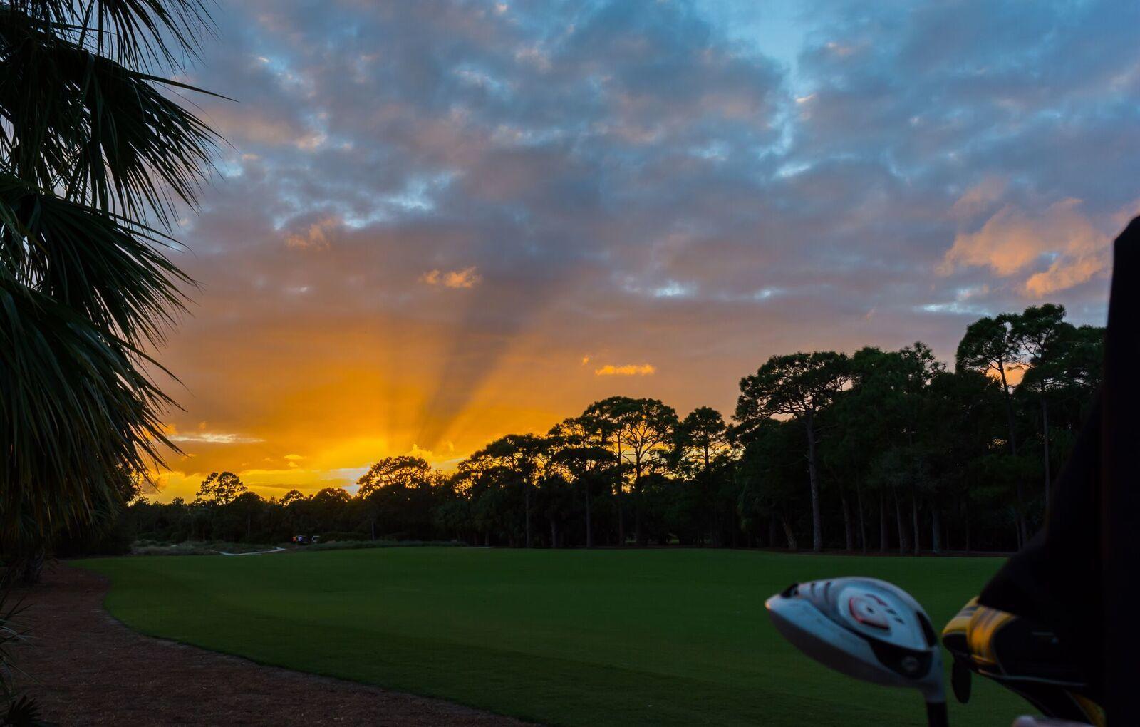 503 Bald Eagle Drive Jupiter, FL 33477 - Photo 48 of 62 a view of a golf course with a garden
