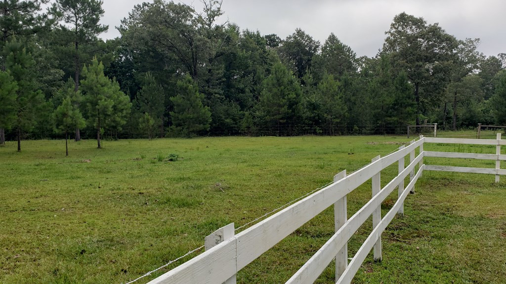 271 A Ed Taylor Road Tylertown, MS 39667 - Photo 17 of 72 Photo 17