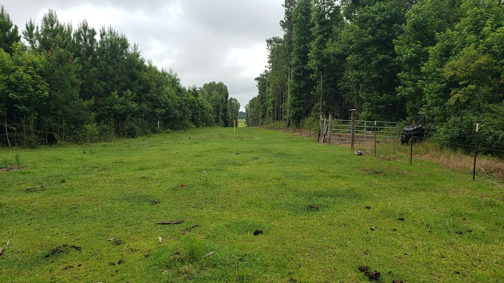 271 A Ed Taylor Road Tylertown, MS 39667 - Photo 18 of 72 Photo 18