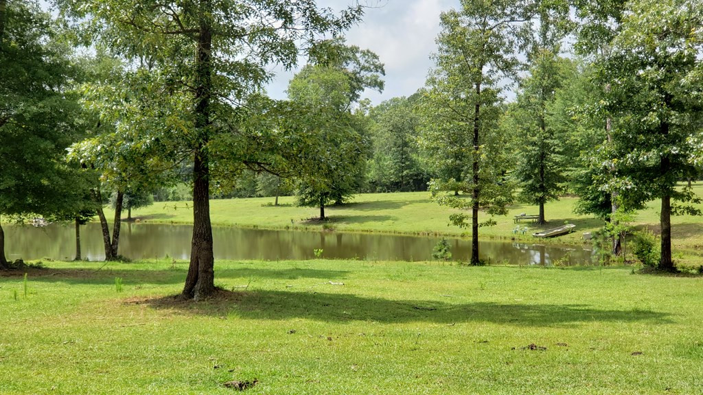 271 A Ed Taylor Road Tylertown, MS 39667 - Photo 29 of 72 Photo 29